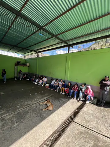 Navidad 2025 · Timotes — foto 7